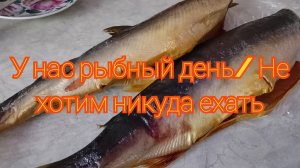 У нас рыбный день/ Не хотим никуда ехать
