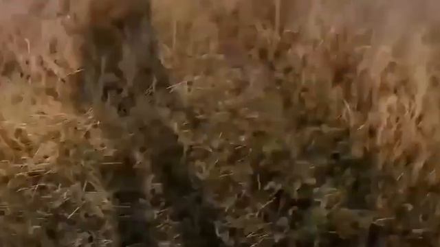 Наш боец при эвакуации отвлёк на себя украинский FPV-дрон от группы гражданских. смотреть онлайн
