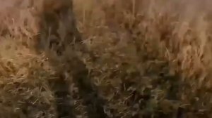 Наш боец при эвакуации отвлёк на себя украинский FPV-дрон от группы гражданских.
