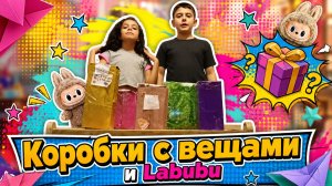 Коробки с вещами и Labubu.