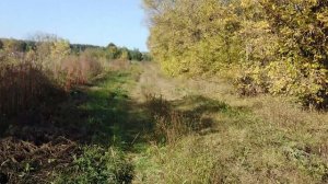 Как родился проект Ягодный эксперимент