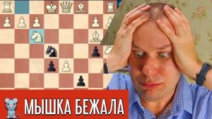 МЫШКА БЕЖАЛА - ХВОСТИКОМ МАХНУЛА. Шахматы блиц