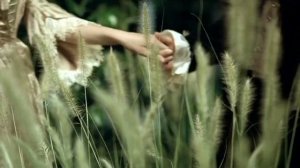 Taylor Swift - Love Story