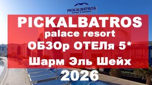 Pickalbatros palace resort обзор отеля 5* Шарм Эль Шейх 2026
