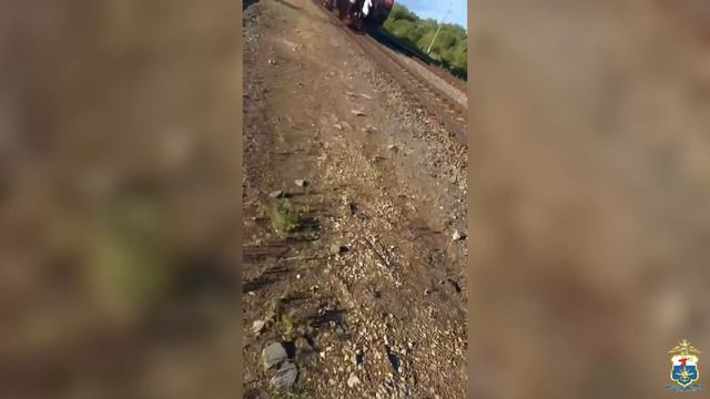 В Мордовии транспортные полицейские вычислили трёх несовершеннолетних зацеперов смотреть онлайн