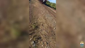 В Мордовии транспортные полицейские вычислили трёх несовершеннолетних зацеперов