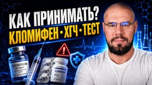 Кломифен, анастрозол, ХГЧ и тестостерон: как правильно принимать