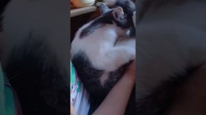 1000028282.mp4