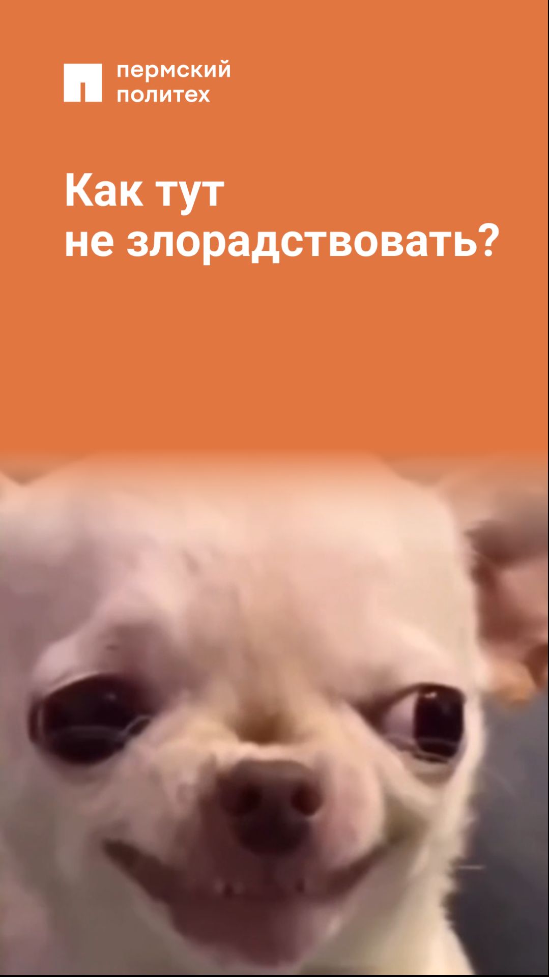 Как тут не злорадствовать?