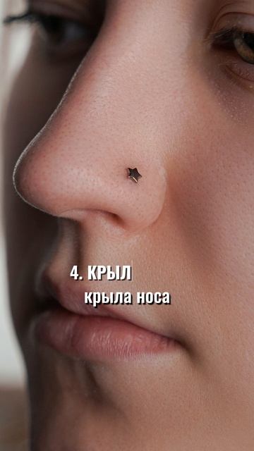 Топ проколов для новичков в пирсинге, рекомендации от мастера Алены ❤️