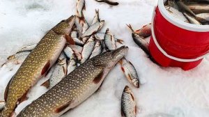 ЗДЕСЬ НИКТО НЕ ЛОВИТ!! Рыбалка на ЖЕРЛИЦЫ и МОРМЫШКУ на ДЕРЕВЕНСКОМ ПРУДУ!