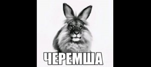 скибиди в городе серия вторая
дубль два