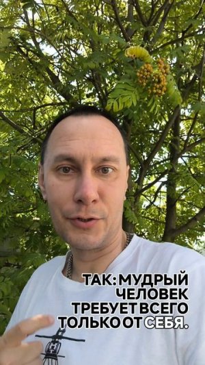 А ты мудрый?