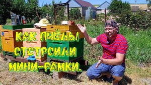МИНИ РАМКИ