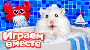 ХОМЯК ВЫБИРАЕТСЯ ИЗ СЕКРЕТНОЙ ХОМЯЧЕЙ ТЮРЬМЫ ! Забавные животные ! Супер лабиринт для хомяка №40
