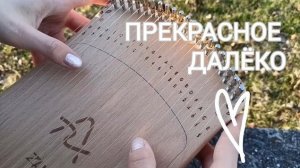 Прекрасное далёко (из фильма «Гостья из будущего») - кавер на харпике - Darina K.