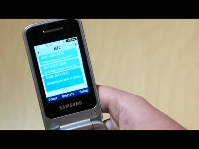 Samsung C3520 Metallic Silver