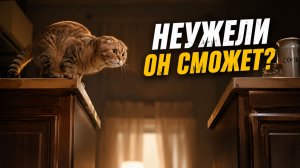 Смех до слёз: лучшие приколы №291