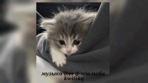 музыка для флешмоба ||песни из тик тока 2025||🩶
