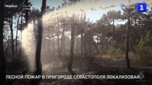 Лесной пожар в окрестностях Севастополя локализован