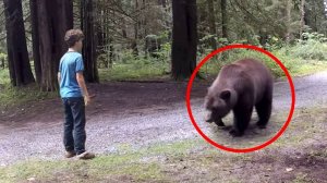 ГРИЗЛИ АТАКУЕТ! На что способен Гризли в гневе