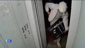 Уфимскую школьницу отметили наградой за содействие в задержании преступника-рецидивиста