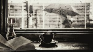 ШУМ ДОЖДЯ ДЛЯ СНА ✨ РАССЛАБЛЯЮЩИЙ ЗВУК ДОЖДЯ ✨ БЫСТРО УСПОКАИВАЮЩИЕ ЗВУКИ ПРИРОДЫ ДЛЯ СНА
