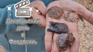 Декабрьский_день_в_Феодосии.mp4
