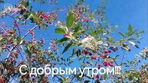 С Добрым Утром!!! ☕🥰👍