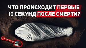 Что происходит первые 10 секунд после смерти?