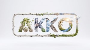 Воронеж. АККО. Серия роликов