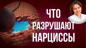 Что разрушают нарциссы. 5 основных качеств, которые под ударом нарцисса.