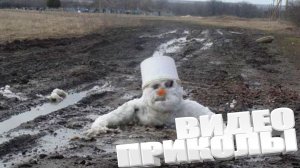 ПРИКОЛ \ ПОДБОРКА ПРИКОЛОВ Я РЖАЛ ДО СЛЕЗ, ЛУЧШИЕ ПРИКОЛЫ 2025 СМЕШНЫЕ ВИДЕО, ДЕВУШКИ , ПОДБОРКА