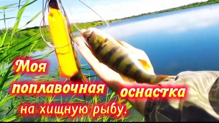 Рыбалка с поплавком: ловим окуня на мясо филе. Моя оснастка для ловли окуня и щуки на поплавок.
