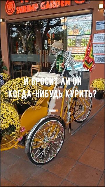 Клипы
