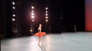 София Чусовкова. Дон Кихот.