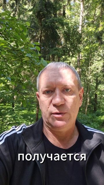 Политика и юриспруденция