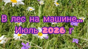 В лес на  машине... июль 2026 г.