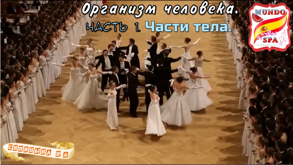 218. Организм человека. Часть 1 - Части тела (+ устойчивые выражения).