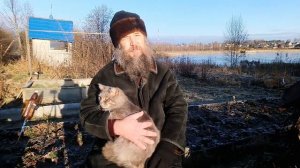 Куда уходит душа животных (следите за котом)