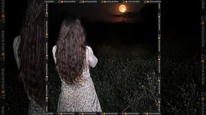 🎧MUSIC «Подари мне себя!» Текст Слова: Лейла Алиева. 👑🙏🙇❤️❤️❤️🌙🌙🌙✨ #LEYLAALIYEVA