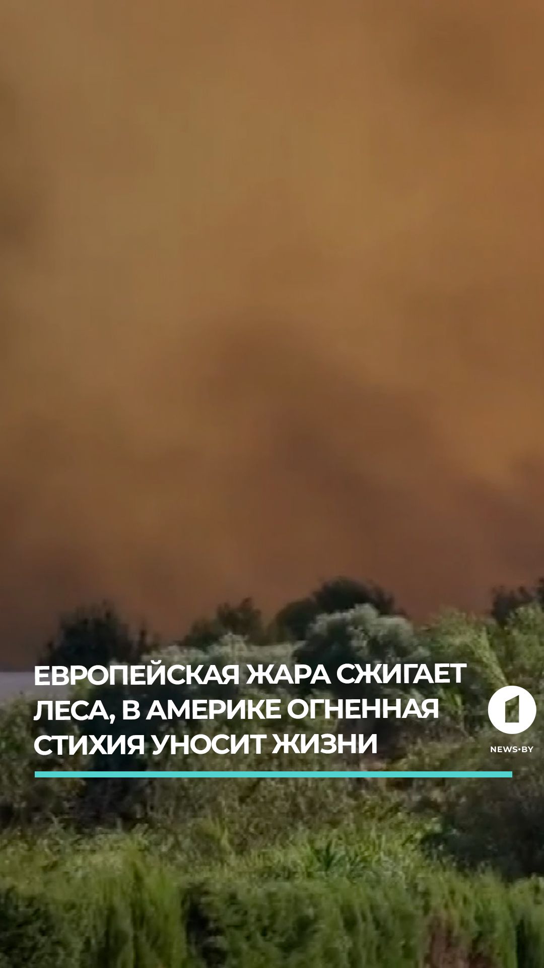 Европейская жара сжигает леса, в Америке огненная стихия уносит жизни