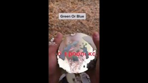Реакция 13 карт на тт //Земля королей//Гача//