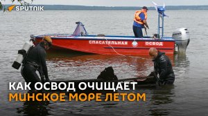 Погрузились на дно: как ОСВОД очищает Минское море летом