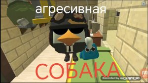 разоблачение на ОГРЕСИВНУЮ СОБАКУ