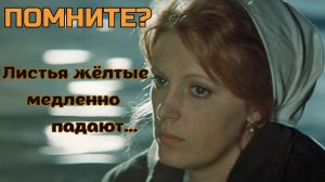 Листья жёлтые медленно падают — Всё равно я к тебе не приду | Дворовая песня