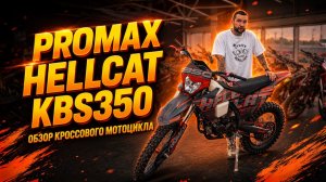 PROMAX HELLCAT KBS350: кроссовый мотоцикл с топовой комплектацией по отличной цене