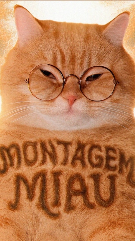 PHONK_MONTAGEM MIAU