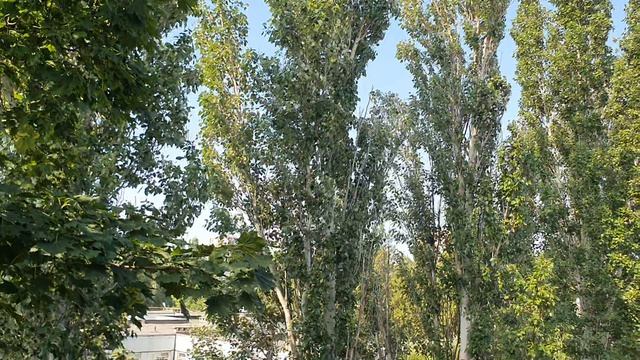 ДОБРОЕ УТРО🤗🥰💋