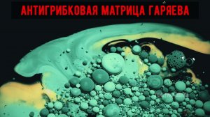 АНТИГРИБКОВАЯ МАТРИЦА ГАРЯЕВА | Оригинальный звук для очищения организма